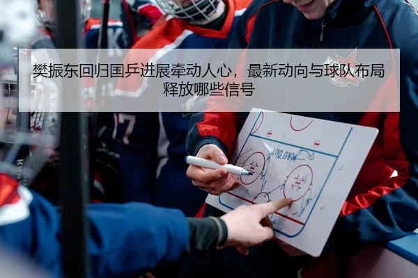 樊振东回归国乒进展牵动人心，最新动向与球队布局释放哪些信号